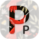 Extension Icon